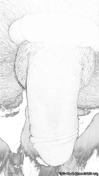 Adult image from TNT-48-8