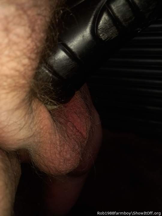 Adult image from Rob1988farmboy