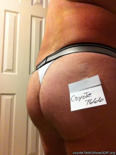 Adult image from coyote7666