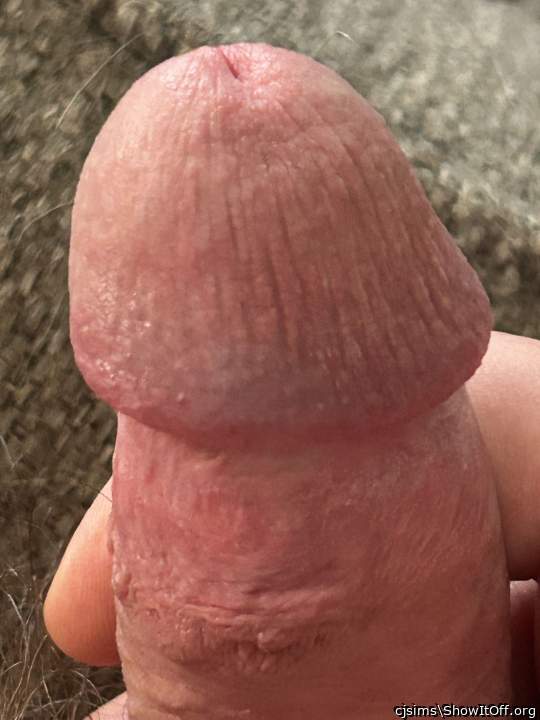 Adult image from cjsims