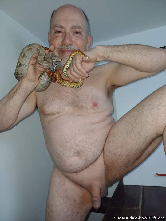 With boa and cornsnake. A