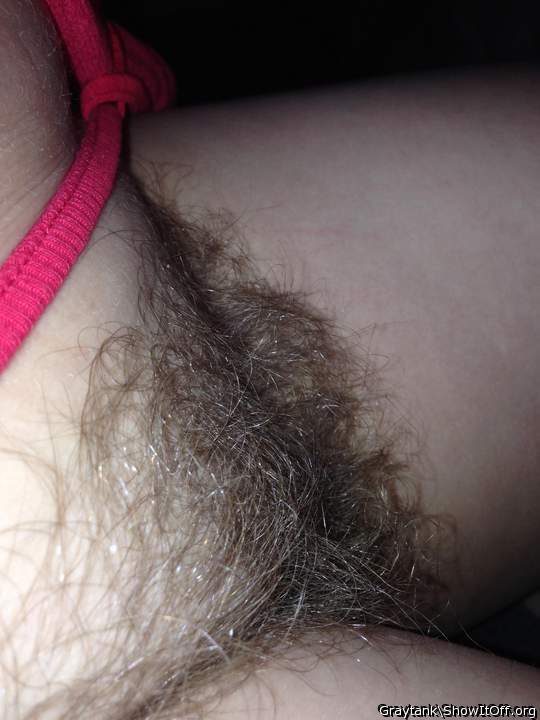 Best Bush