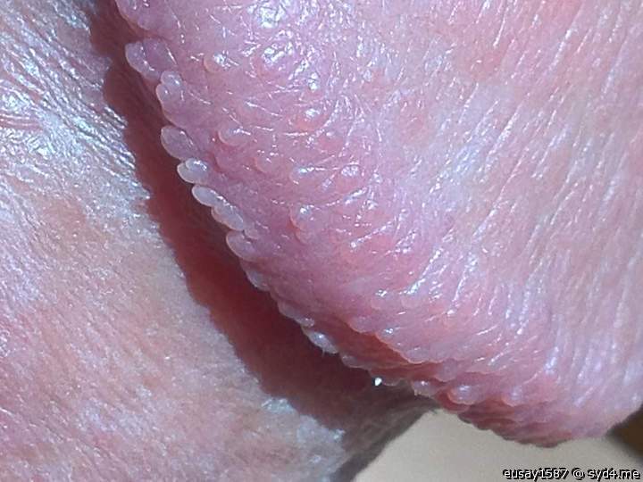 Adult image from eusay1587