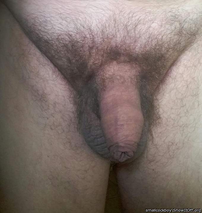 Very nice, super, sch�n.  