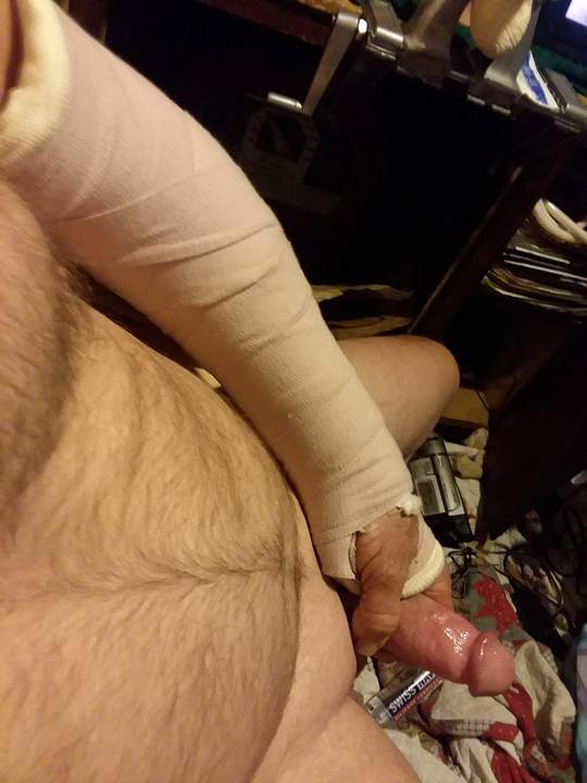 Adult image from fish4free