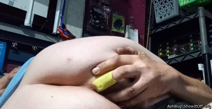 Adult image from AshBug