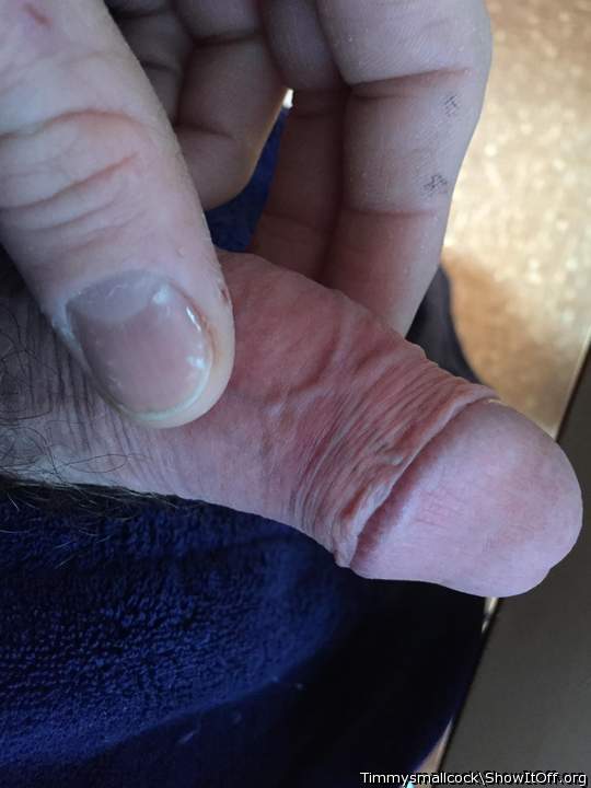 Adult image from Timmysmallcock