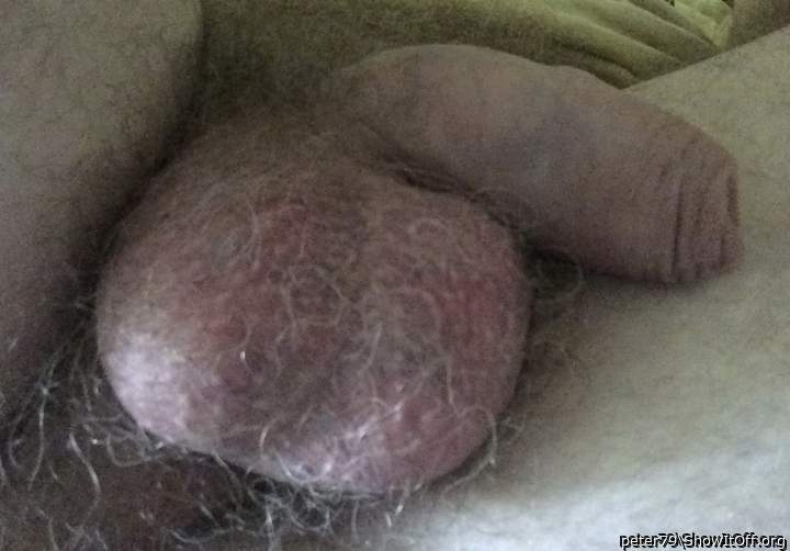 Adult image from peter79
