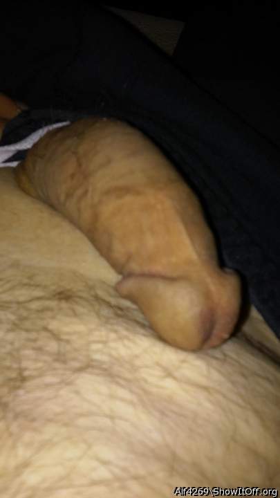 Adult image from Alf4269