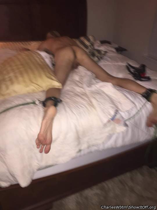 Adult image from CharlesWbtm