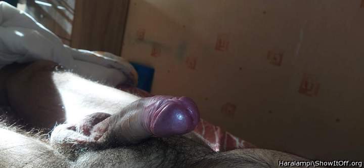 Adult image from Haralampi