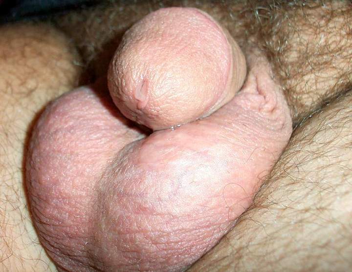 Adult image from lilsoftee