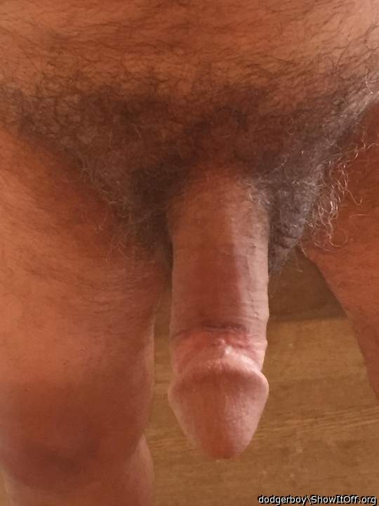 Adult image from dodgerboy