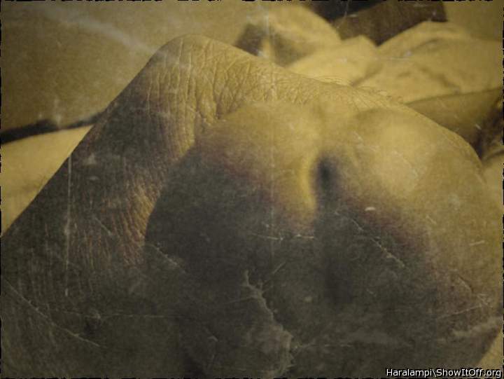 Adult image from Haralampi