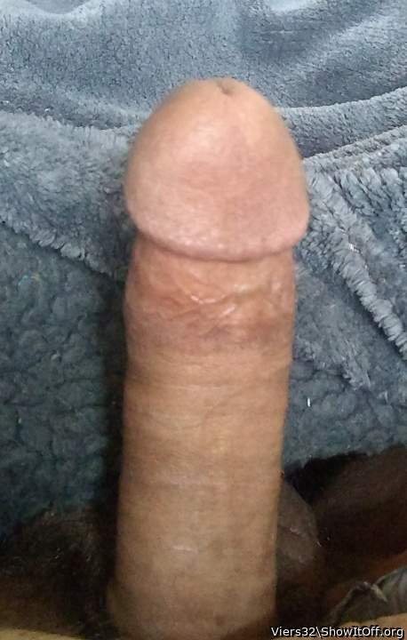  splendid  bawcock !
