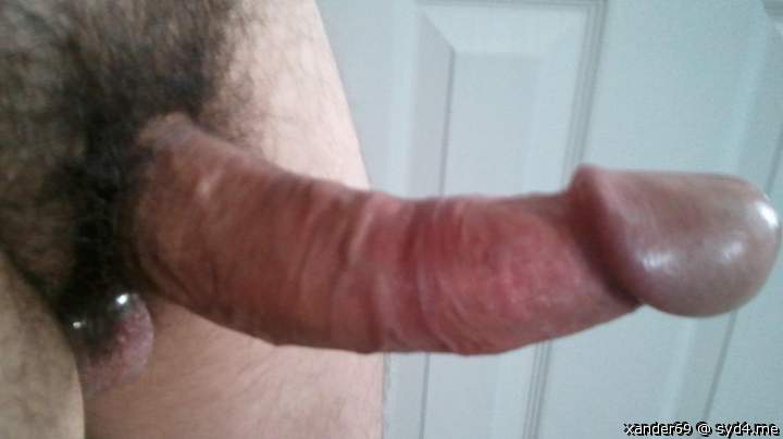 Adult image from xander69
