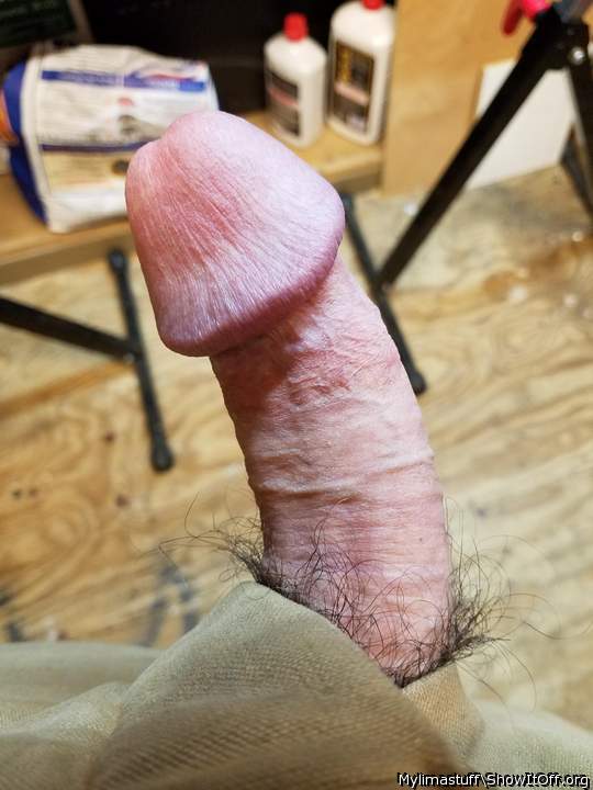 Adult image from Mylimastuff