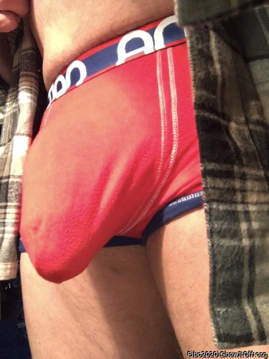 Adult image from Pibo2020