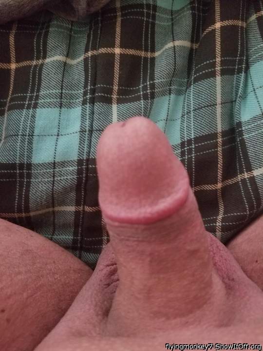 Adult image from flyingmonkey7