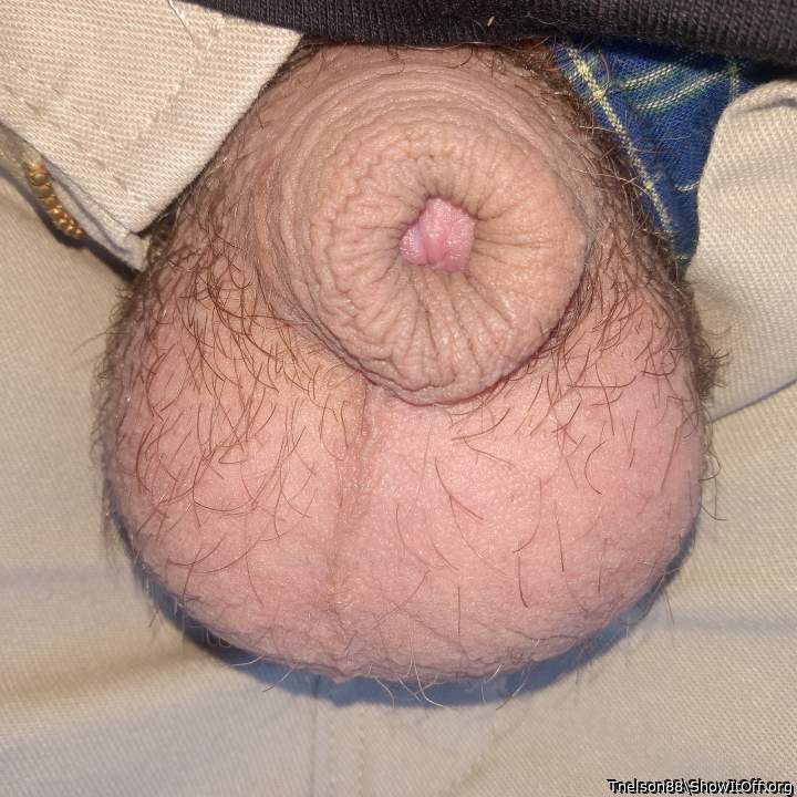 Adult image from Tnelson88
