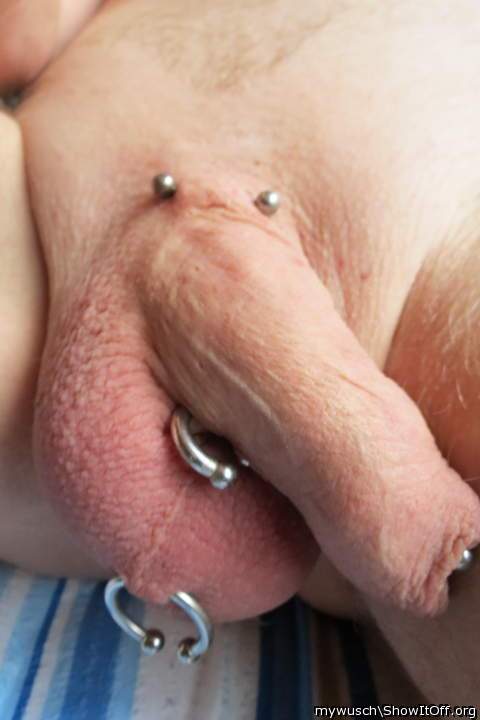 Adult image from mywusch