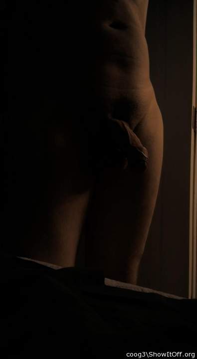 Adult image from coog3