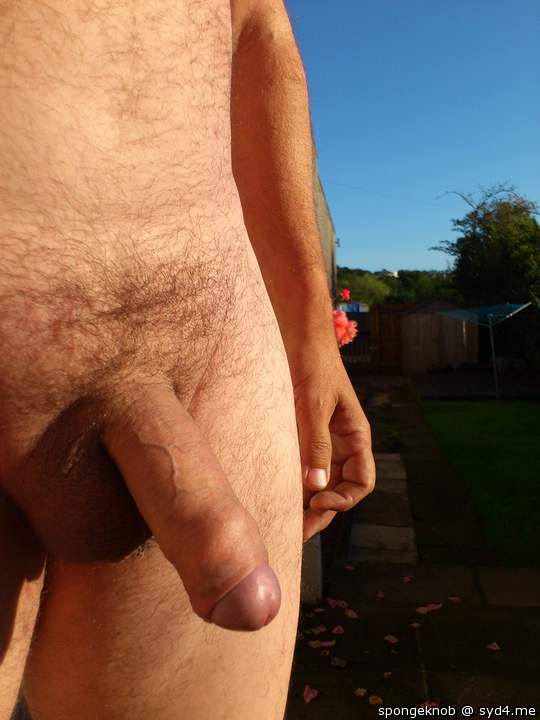 Adult image from spongeknob