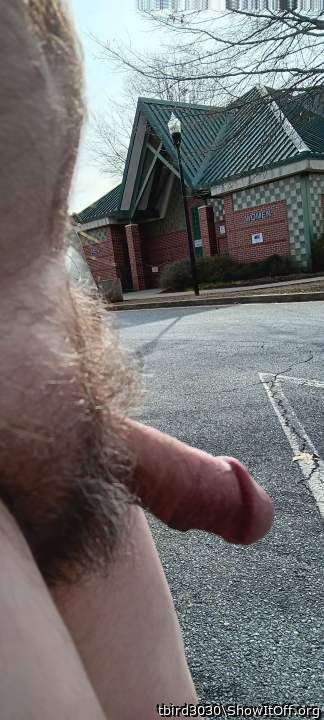 Adult image from tbird3030