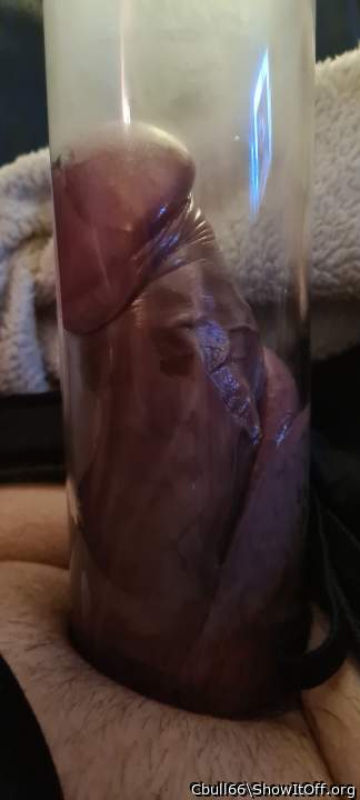 Adult image from Cbull66