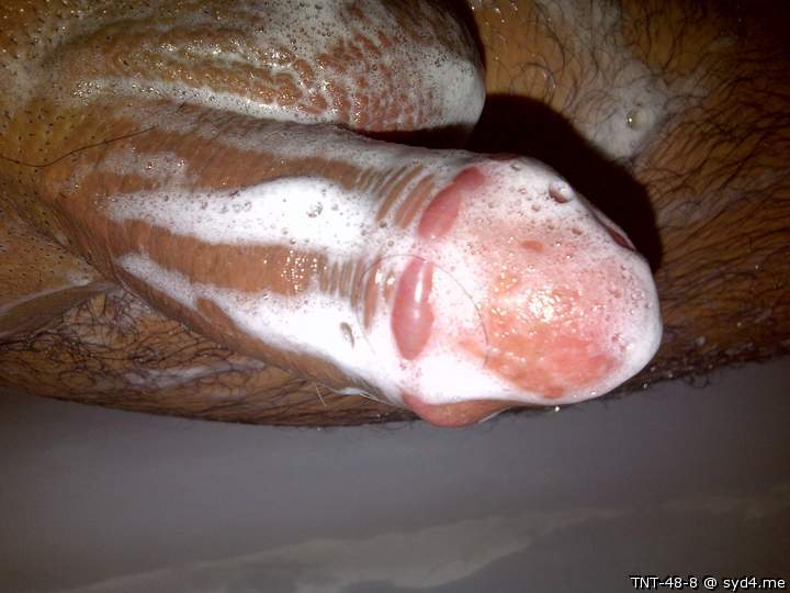 Adult image from TNT-48-8