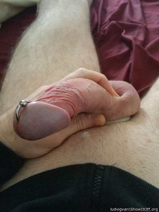 Adult image from ludvigvan