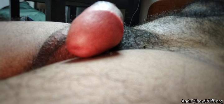 Adult image from Andii