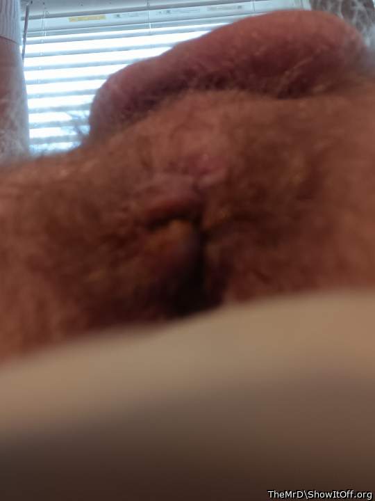Adult image from TheMrD