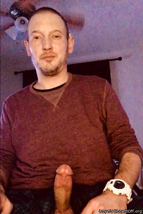 Adult image from Anyel1