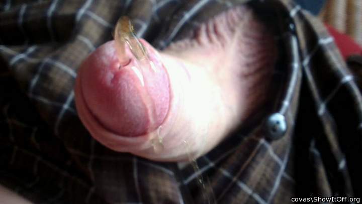 Adult image from covas