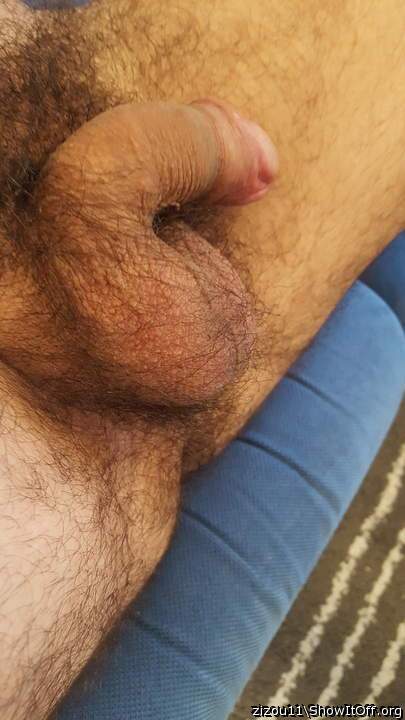 Adult image from zizou11