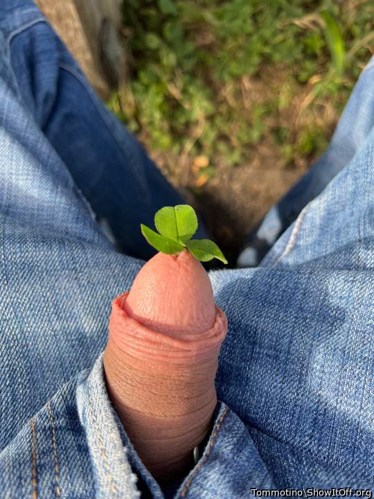  Er mag Pflanzen ... schn !!