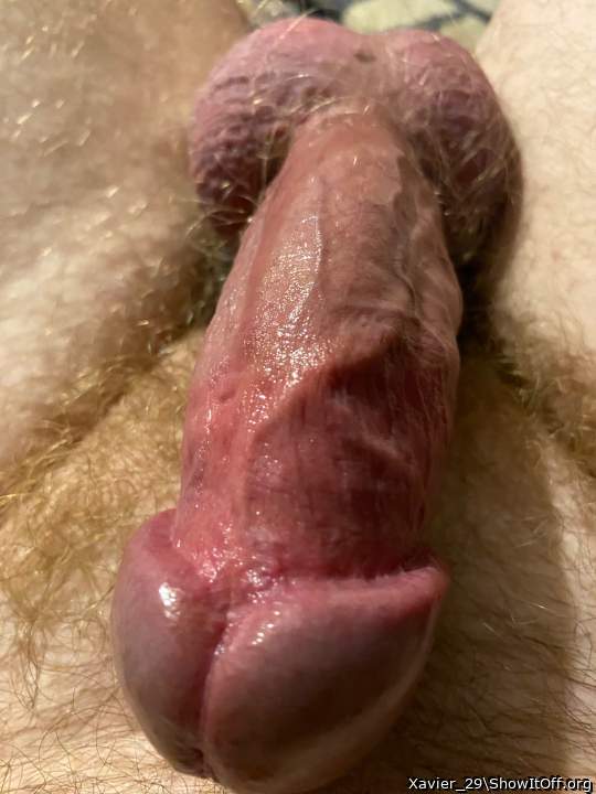 Adult image from Xavier_29