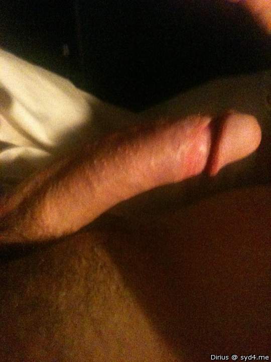 Adult image from Dirius