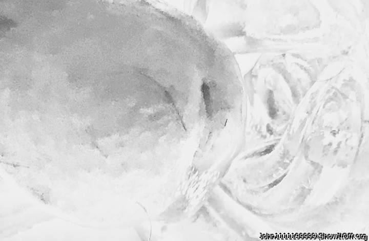 Adult image from John1111199999