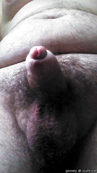 Adult image from Goosey