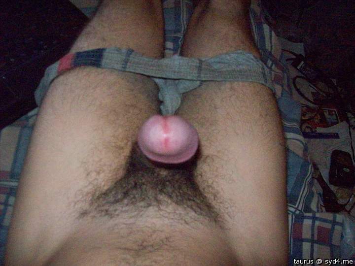 Adult image from taurus