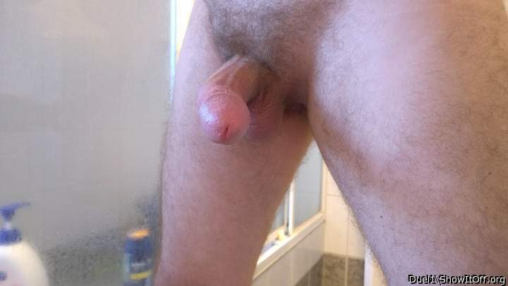 Adult image from Duel1