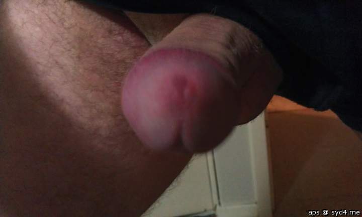Adult image from Aps