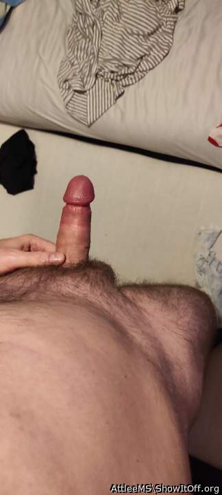 Adult image from AttleeMS