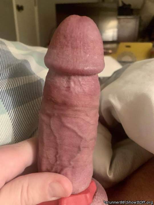 Adult image from tsrunner88