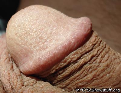 Adult image from M*C*S