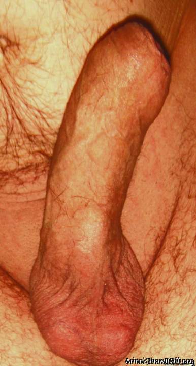 Master�s Cock