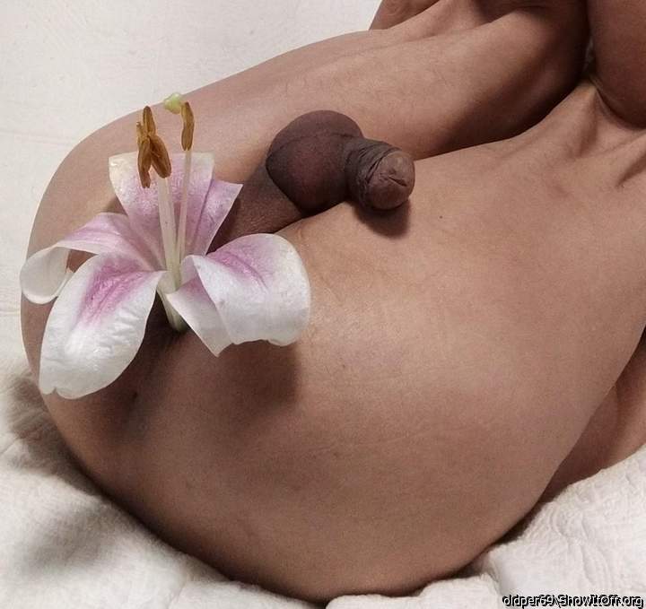 Adult image from oldper69