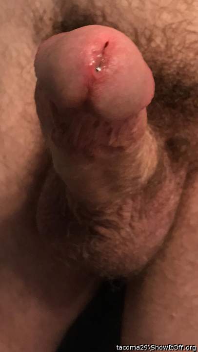 Adult image from tacoma29